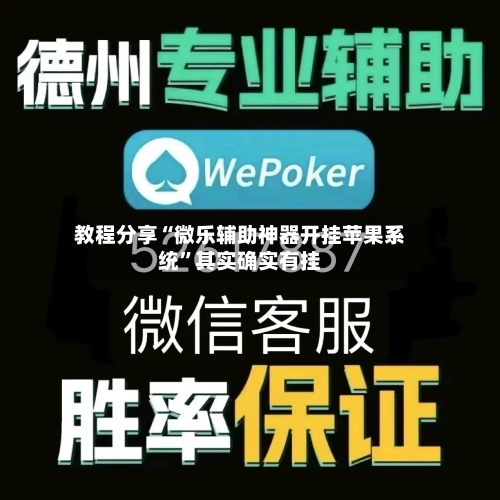 教程分享“微乐辅助神器开挂苹果系统”其实确实有挂-第2张图片