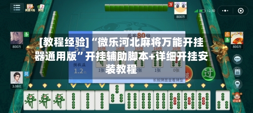 [教程经验]“微乐河北麻将万能开挂器通用版”开挂辅助脚本+详细开挂安装教程-第3张图片