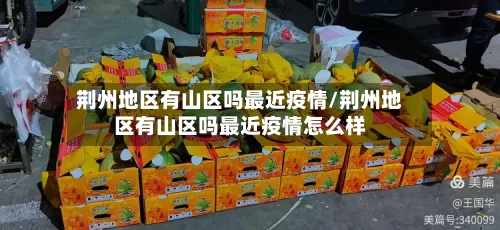 荆州地区有山区吗最近疫情/荆州地区有山区吗最近疫情怎么样-第2张图片