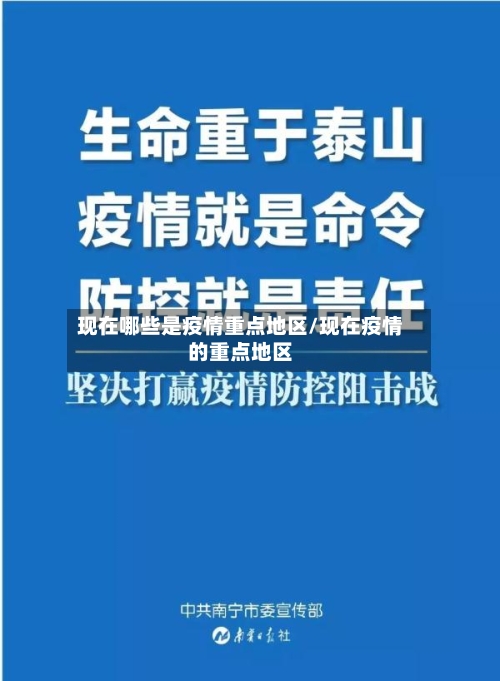 现在哪些是疫情重点地区/现在疫情的重点地区