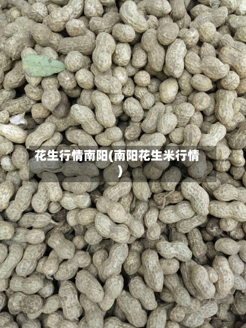 花生行情南阳(南阳花生米行情)-第3张图片