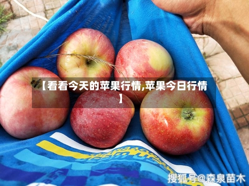 【看看今天的苹果行情,苹果今日行情】