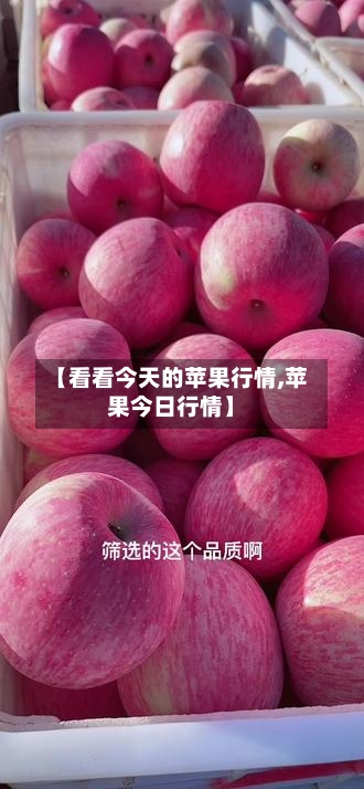 【看看今天的苹果行情,苹果今日行情】-第3张图片