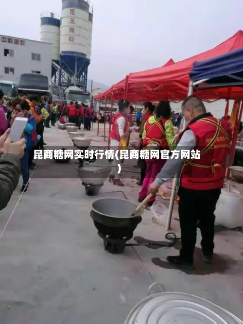 昆商糖网实时行情(昆商糖网官方网站)-第2张图片