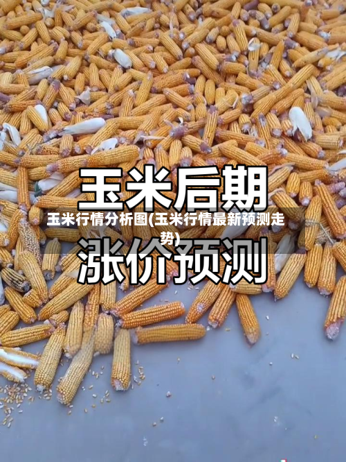 玉米行情分析图(玉米行情最新预测走势)-第2张图片