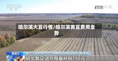 哈尔滨大豆行情/哈尔滨黄豆费用走势-第2张图片