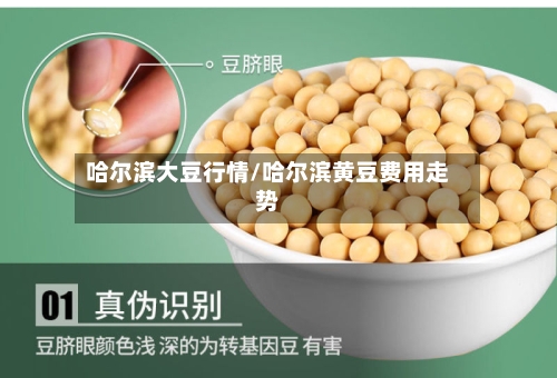 哈尔滨大豆行情/哈尔滨黄豆费用走势