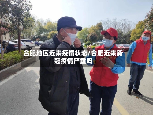 合肥地区近来疫情状态/合肥近来新冠疫情严重吗-第2张图片