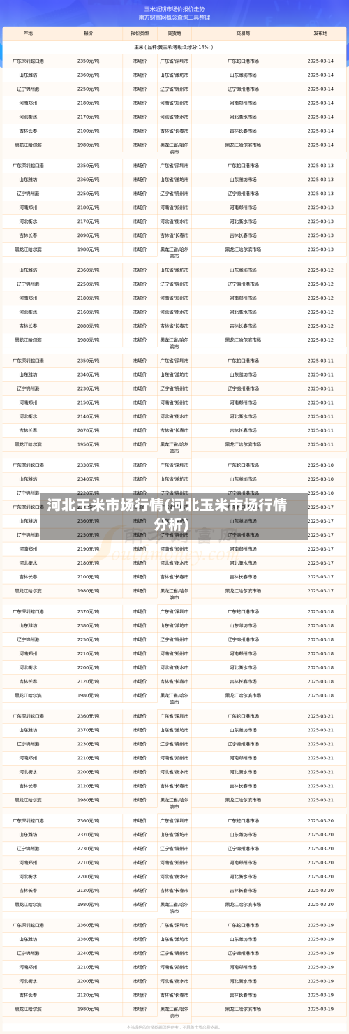 河北玉米市场行情(河北玉米市场行情分析)