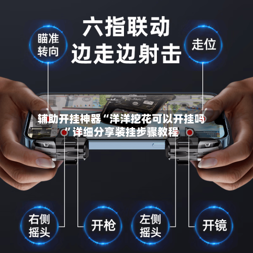 辅助开挂神器“洋洋挖花可以开挂吗”详细分享装挂步骤教程