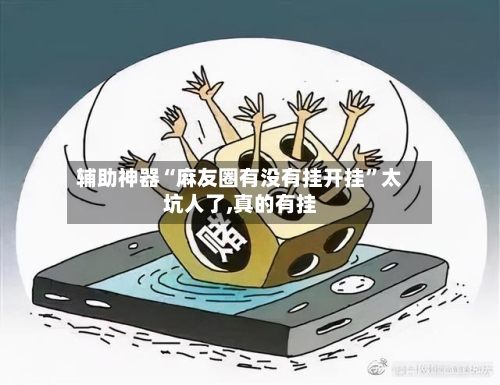 辅助神器“麻友圈有没有挂开挂”太坑人了,真的有挂-第2张图片