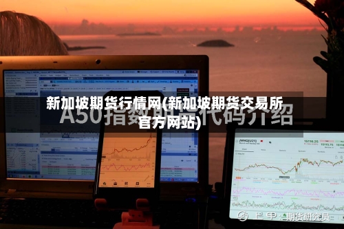 新加坡期货行情网(新加坡期货交易所官方网站)