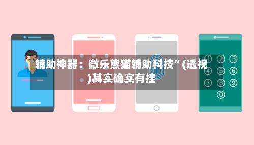 辅助神器：微乐熊猫辅助科技”(透视)其实确实有挂