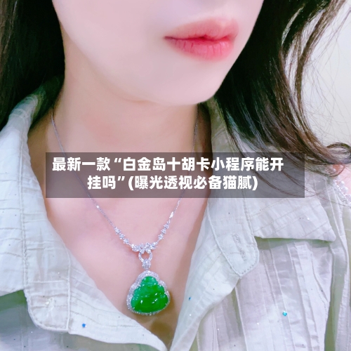 最新一款“白金岛十胡卡小程序能开挂吗”(曝光透视必备猫腻)
