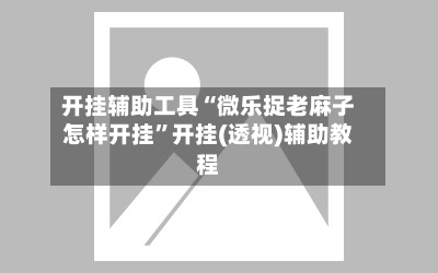 开挂辅助工具“微乐捉老麻子怎样开挂”开挂(透视)辅助教程-第2张图片