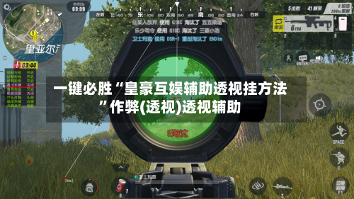 一键必胜“皇豪互娱辅助透视挂方法”作弊(透视)透视辅助-第2张图片
