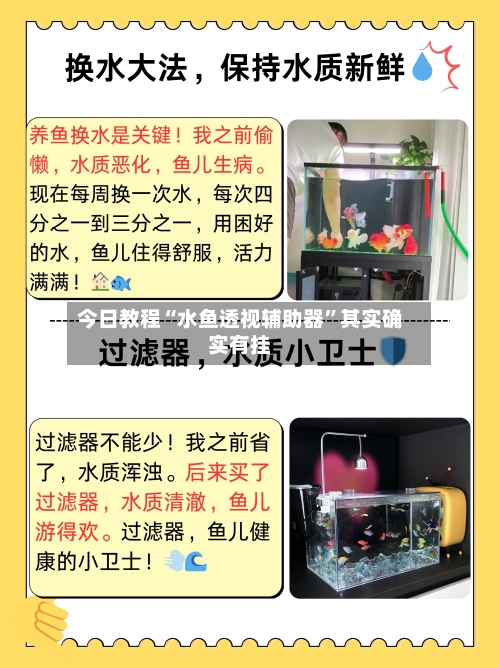 今日教程“水鱼透视辅助器”其实确实有挂