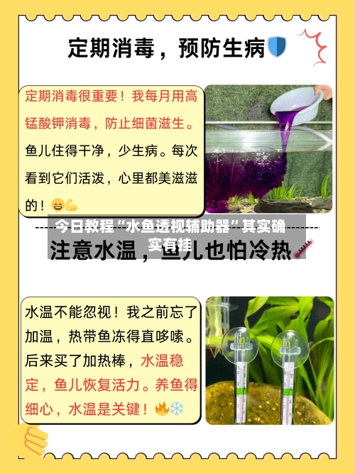 今日教程“水鱼透视辅助器	”其实确实有挂-第2张图片