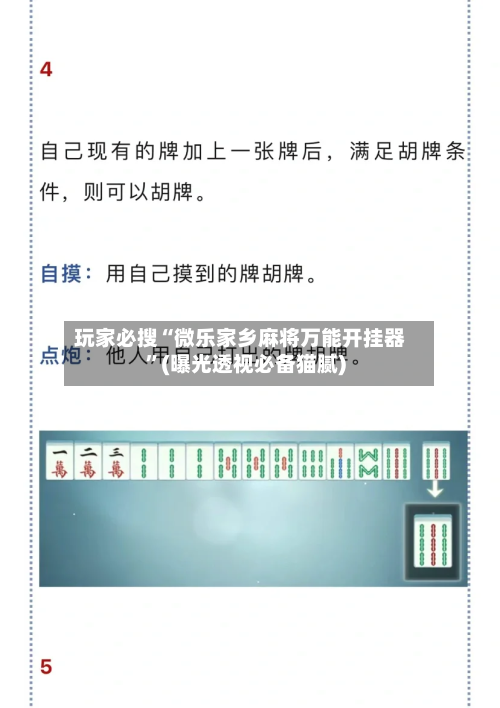 玩家必搜“微乐家乡麻将万能开挂器”(曝光透视必备猫腻)-第2张图片