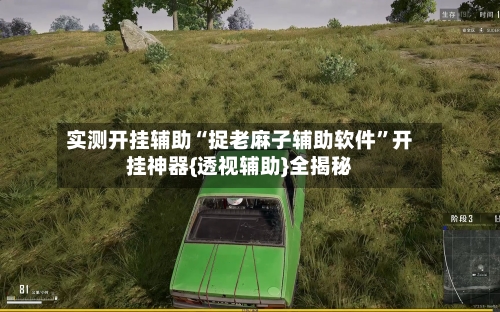 实测开挂辅助“捉老麻子辅助软件”开挂神器{透视辅助}全揭秘-第2张图片