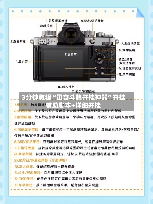 3分钟教程“迅奇斗牌开挂神器”开挂辅助脚本+详细开挂-第3张图片