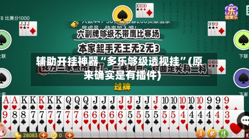 辅助开挂神器“多乐够级透视挂	”(原来确实是有插件)-第2张图片