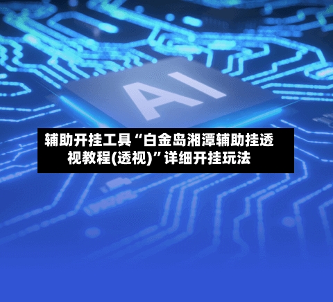 辅助开挂工具“白金岛湘潭辅助挂透视教程(透视)	”详细开挂玩法-第2张图片
