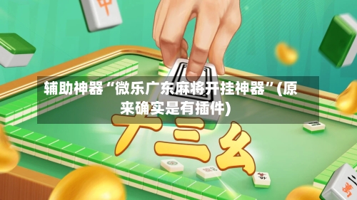 辅助神器“微乐广东麻将开挂神器”(原来确实是有插件)-第2张图片