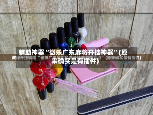 辅助神器“微乐广东麻将开挂神器”(原来确实是有插件)-第3张图片