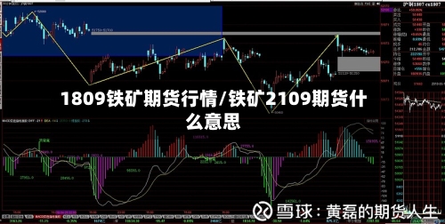 1809铁矿期货行情/铁矿2109期货什么意思-第3张图片