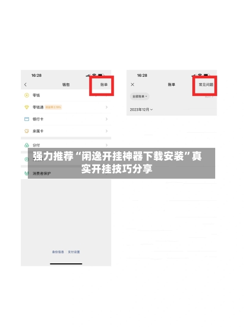 强力推荐“闲逸开挂神器下载安装”真实开挂技巧分享-第3张图片