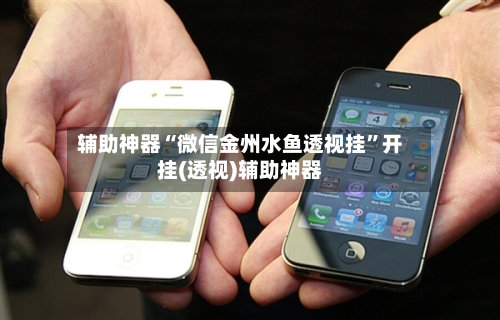 辅助神器“微信金州水鱼透视挂”开挂(透视)辅助神器