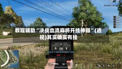 教程辅助“决战血流麻将开挂神器”(透视)其实确实有挂-第3张图片