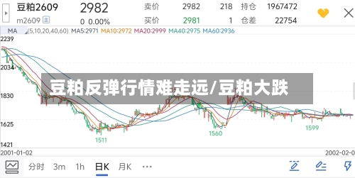 豆粕反弹行情难走远/豆粕大跌-第2张图片
