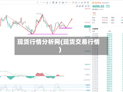 现货行情分析网(现货交易行情)-第3张图片