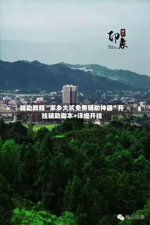 辅助教程“家乡大贰免费辅助神器”开挂辅助脚本+详细开挂