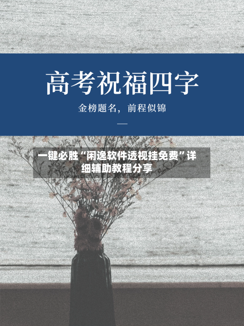 一键必胜“闲逸软件透视挂免费”详细辅助教程分享-第3张图片