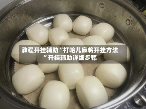 教程开挂辅助“打哈儿麻将开挂方法	”开挂辅助详细步骤-第2张图片