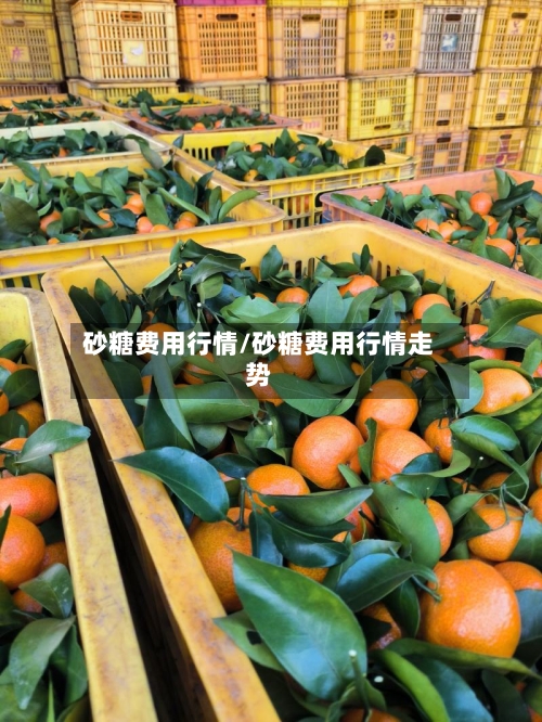 砂糖费用行情/砂糖费用行情走势-第2张图片