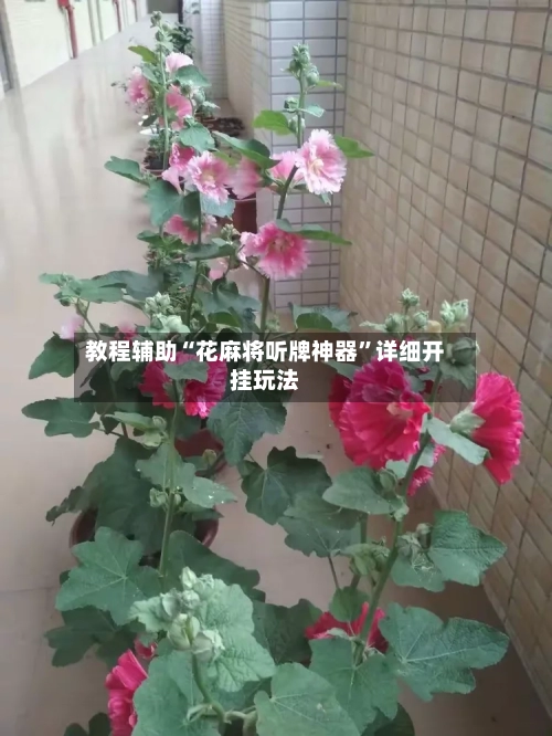 教程辅助“花麻将听牌神器”详细开挂玩法-第2张图片