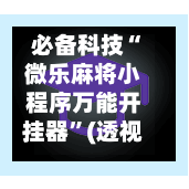 必备科技“微乐麻将小程序万能开挂器”(透视挂)详细用法教程-第2张图片