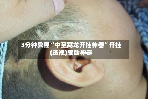 3分钟教程“中至窝龙开挂神器”开挂(透视)辅助神器