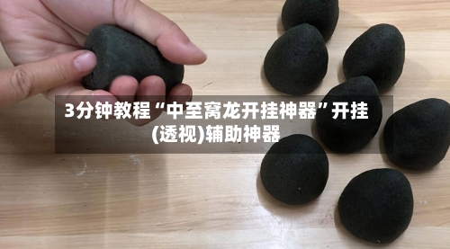3分钟教程“中至窝龙开挂神器”开挂(透视)辅助神器-第2张图片