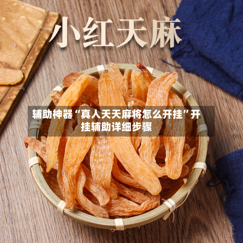 辅助神器“真人天天麻将怎么开挂”开挂辅助详细步骤