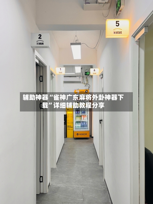 辅助神器“雀神广东麻将外卦神器下载”详细辅助教程分享