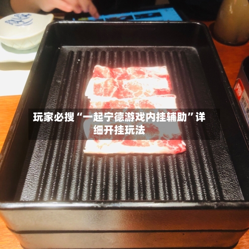 玩家必搜“一起宁德游戏内挂辅助”详细开挂玩法