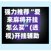 强力推荐“爱来麻将开挂怎么买”(透视)开挂辅助脚本+详细开挂安装教程-第3张图片