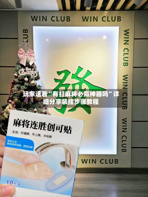 玩家速看“有打麻将必赢神器吗	”详细分享装挂步骤教程-第3张图片