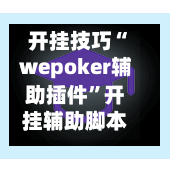 开挂技巧“wepoker辅助插件	”开挂辅助脚本+详细开挂安装教程-第2张图片