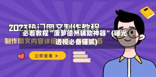 必看教程“菠萝德州辅助神器”(曝光透视必备猫腻)-第3张图片